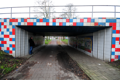 913066 Gezicht in het fietstunneltje van de Ina Boudier-Bakkerlaan naar de Neptunusstraat te Utrecht, onder de ...